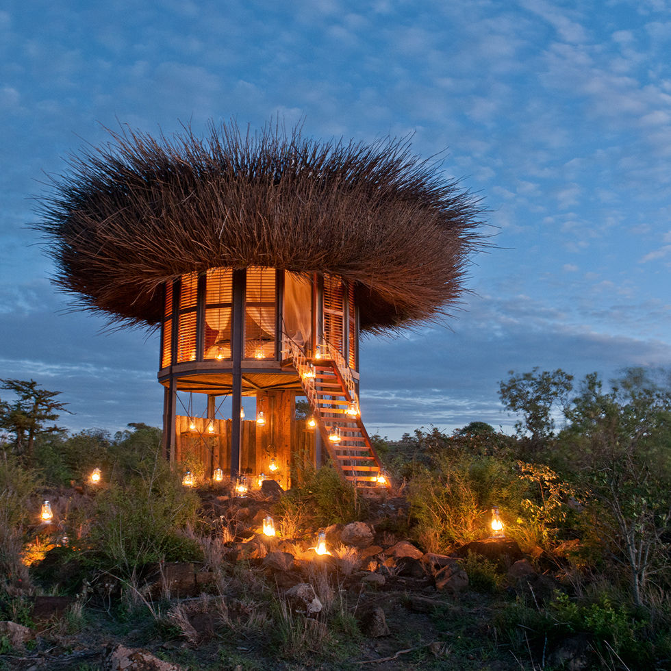 This dreamy bird’s nest hotel brings luxury to the great outdoors