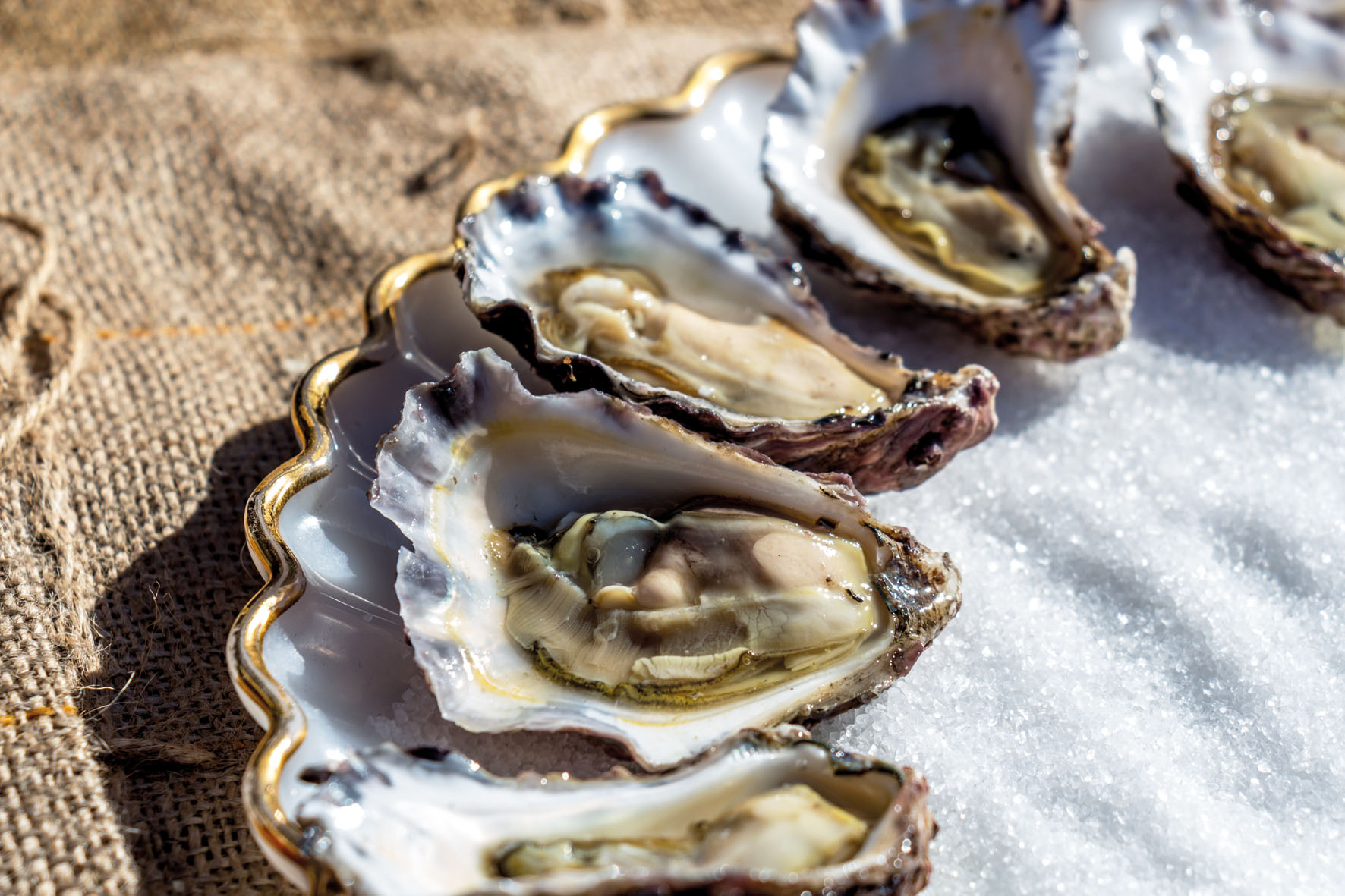 Embarking on an oyster trail in New South Wales