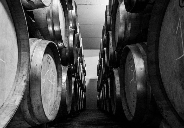 Why Velenosi Winery is Le Marche’s Hidden Gem
