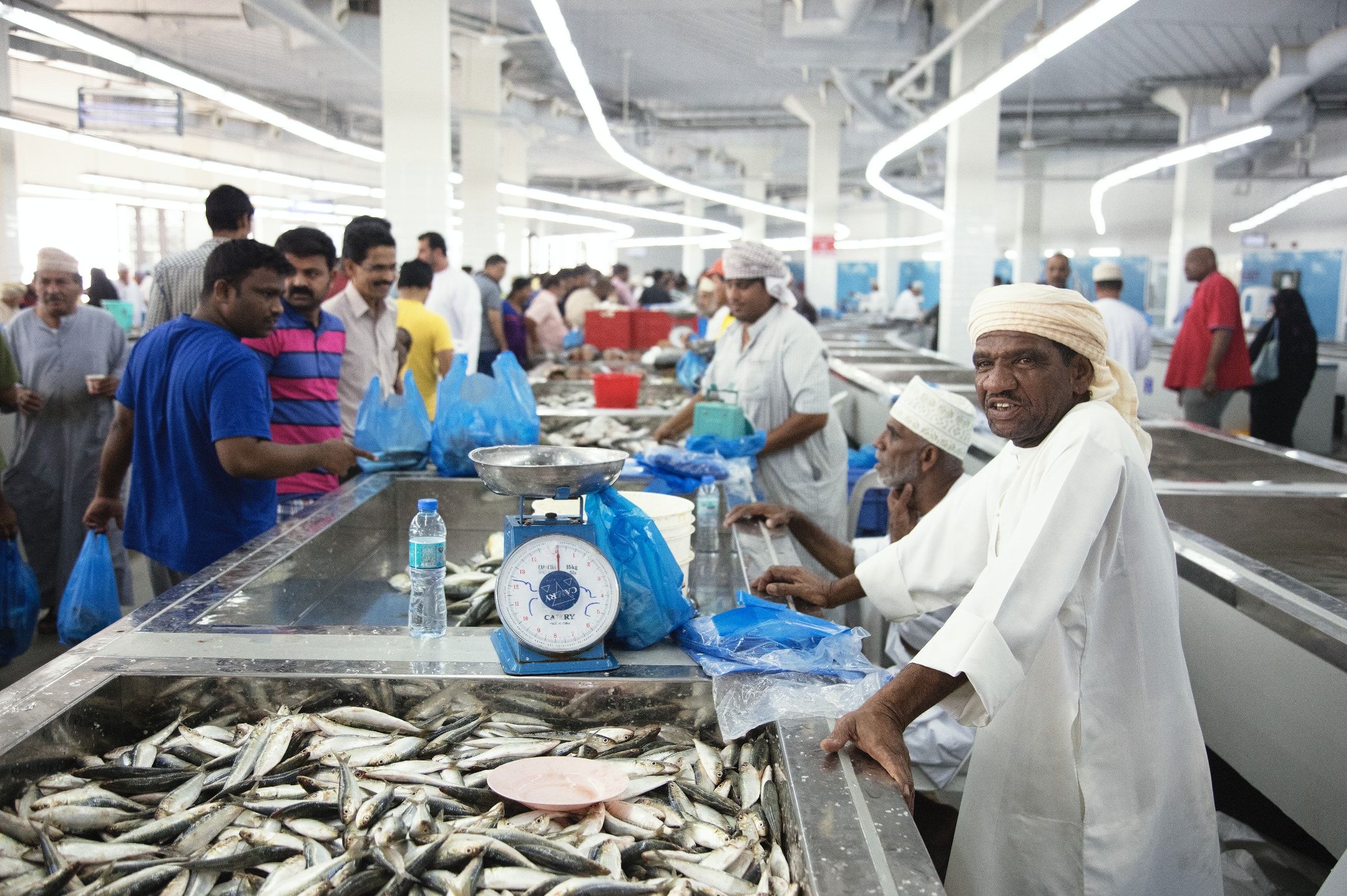 Muscat Fish Snøhetta Redesigns Oman's Muttrah Fish Market | Prestige Online - Singapore