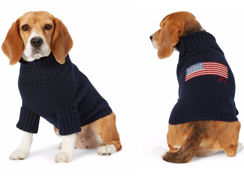 We Predict Doggy Fashion is In