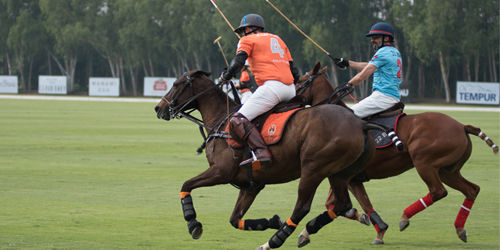 Horsepower and High Society