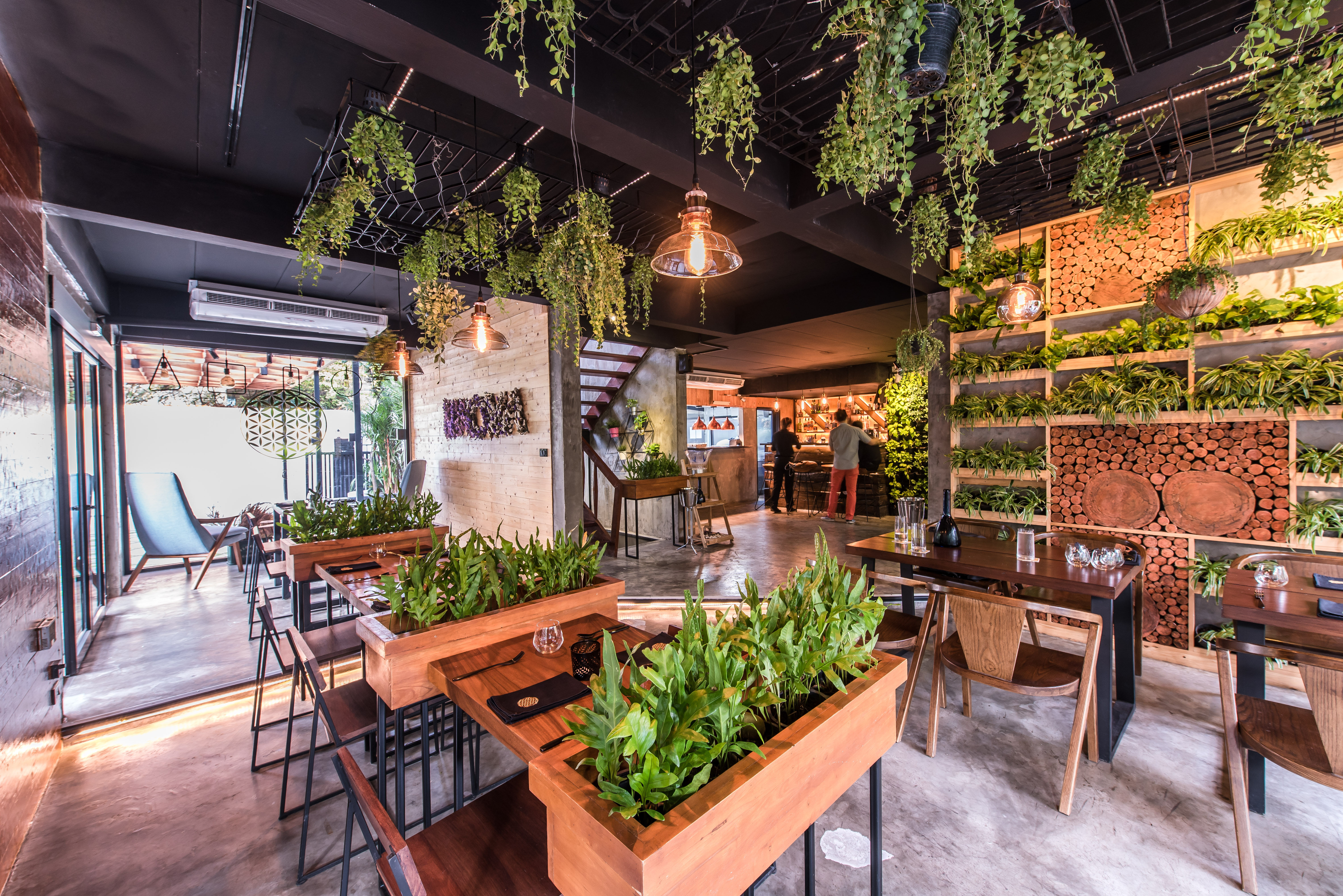 A Breath of Fresh Air at Haoma
