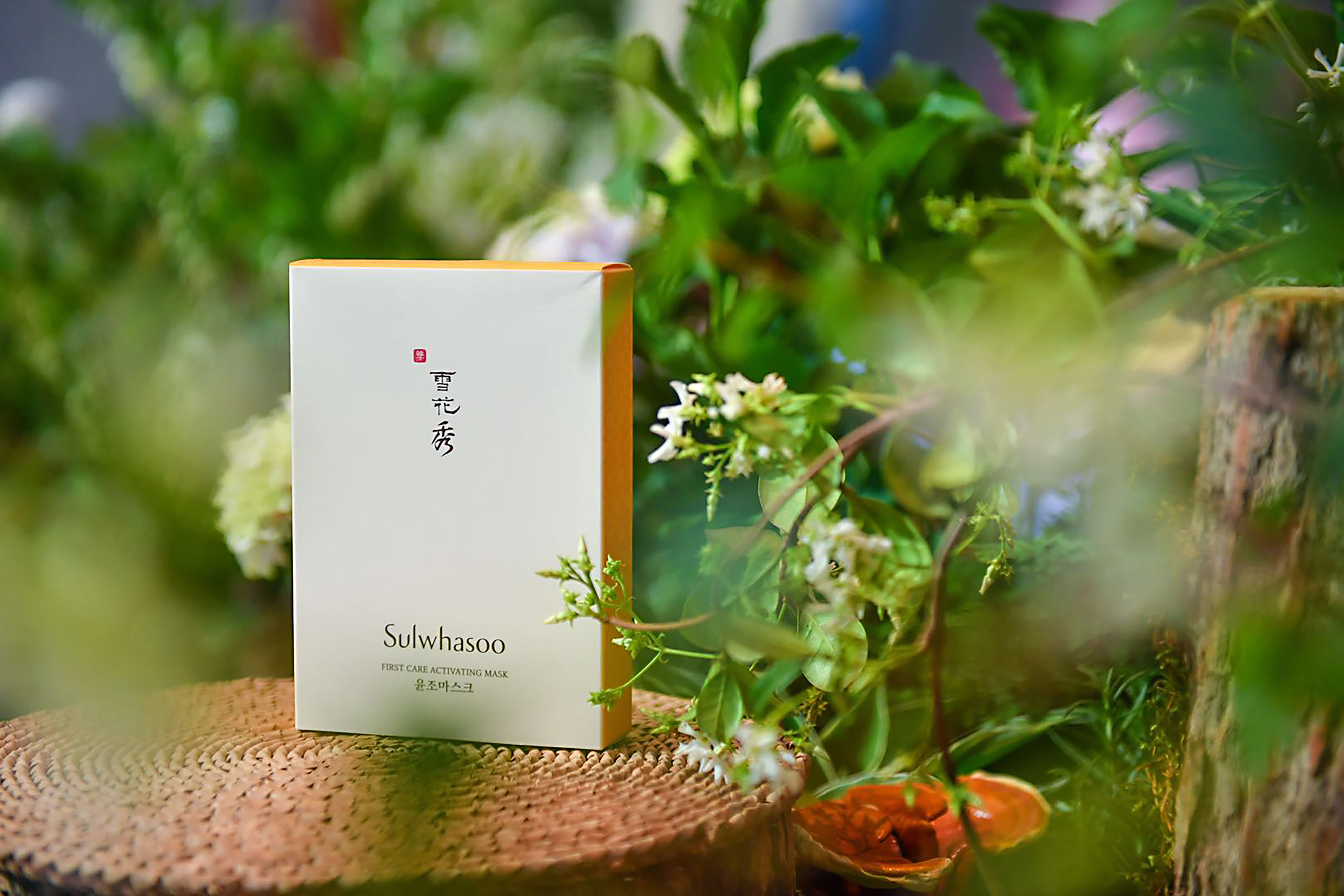 Sulwhasoo Reaches a Fine Balance