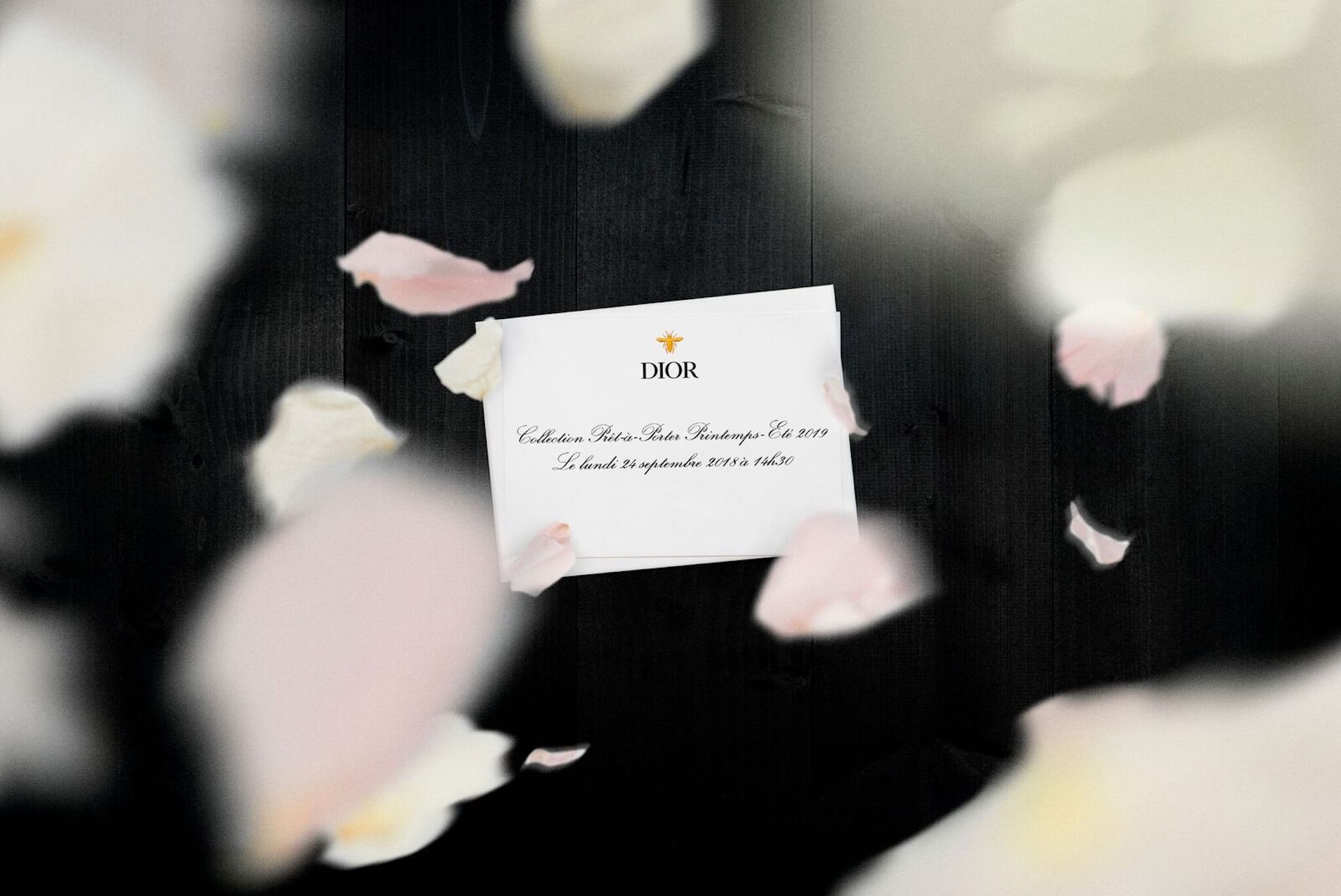 Live: Dior SS19 Collection by Maria Grazia Chiuri