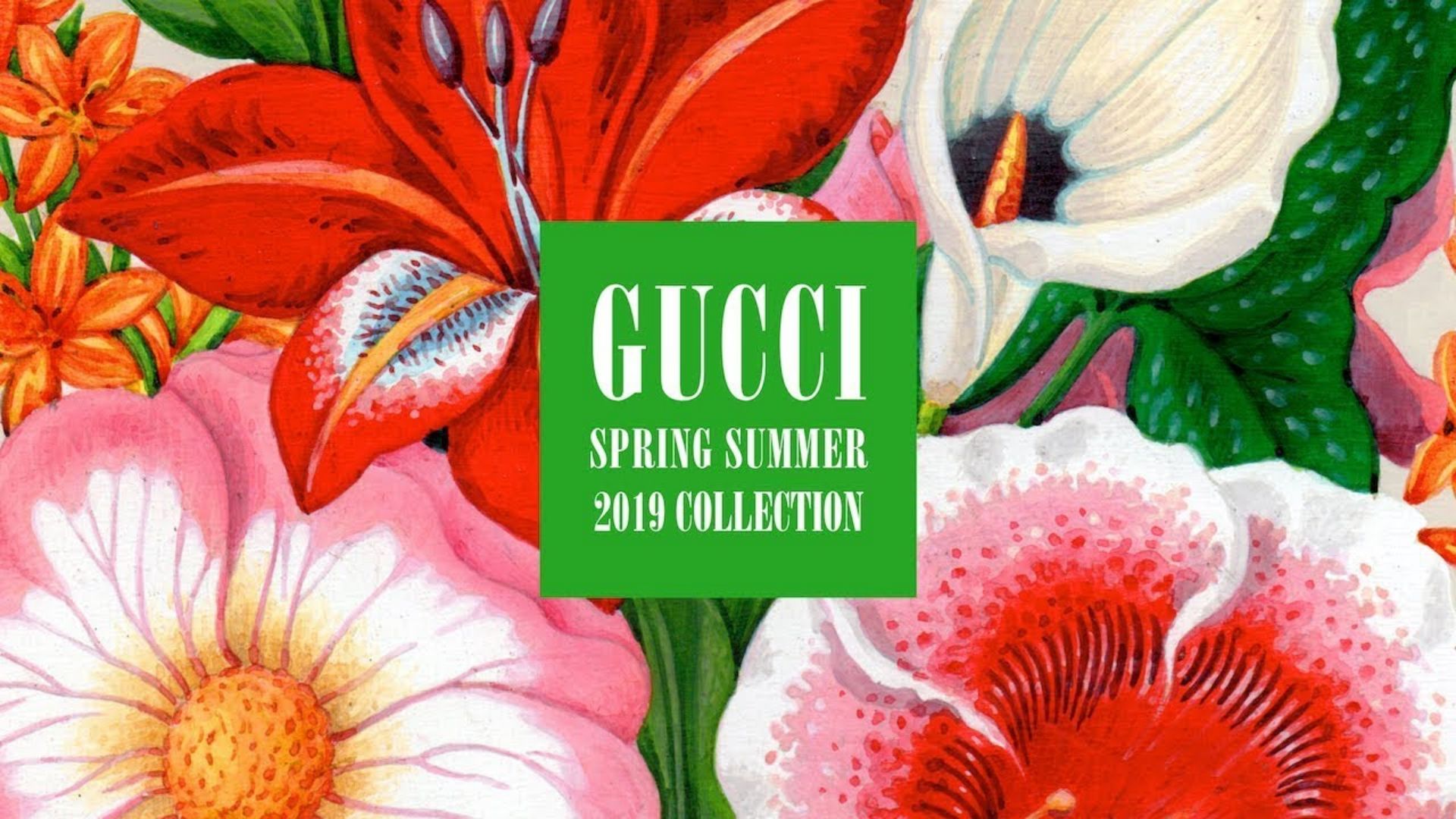VIDEO: Watch Gucci Spring/Summer 2019 Show