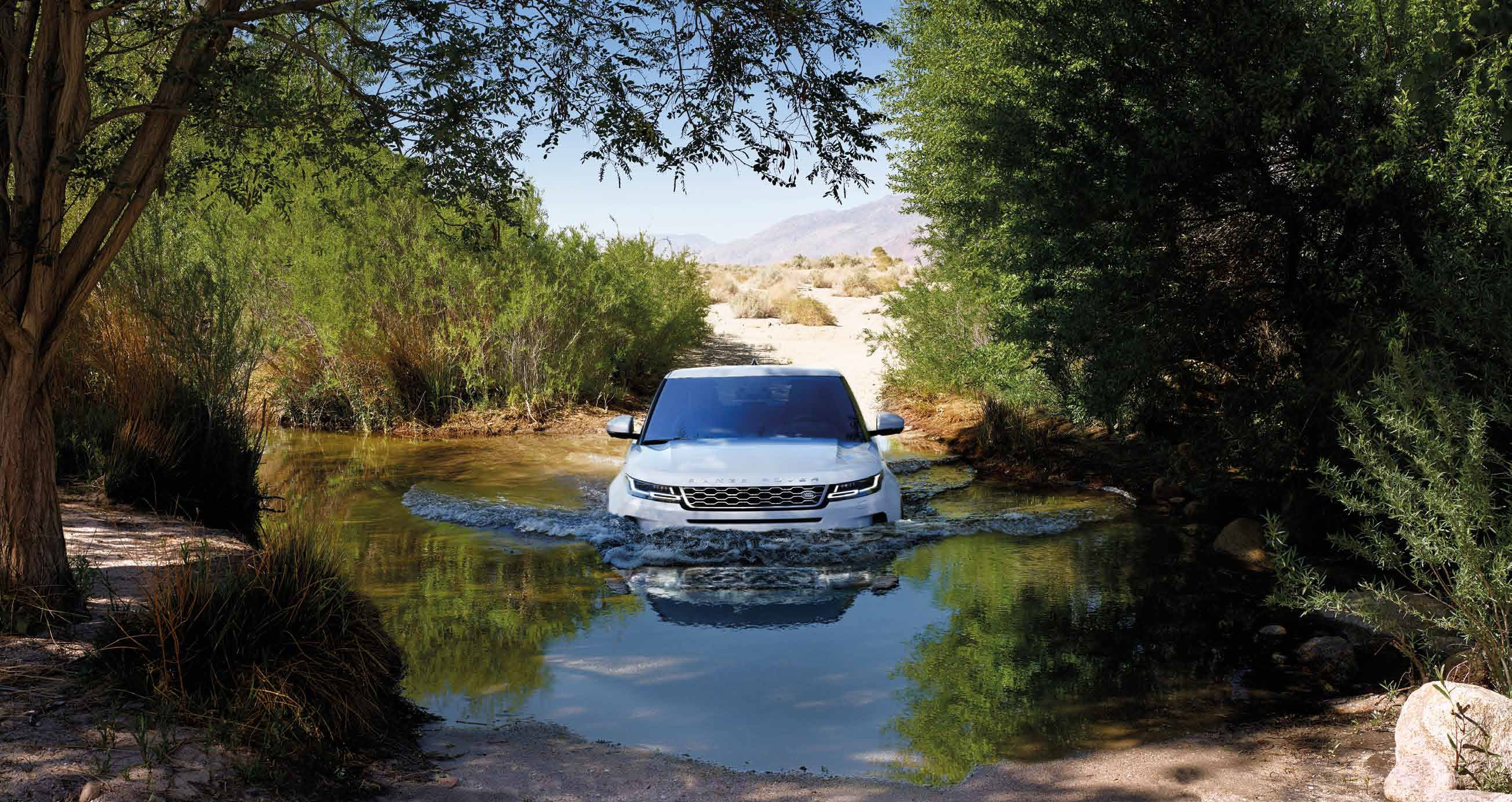 10 Hottest Cars to Crave in 2019