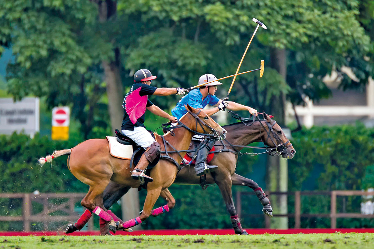 Polo Stick Sport