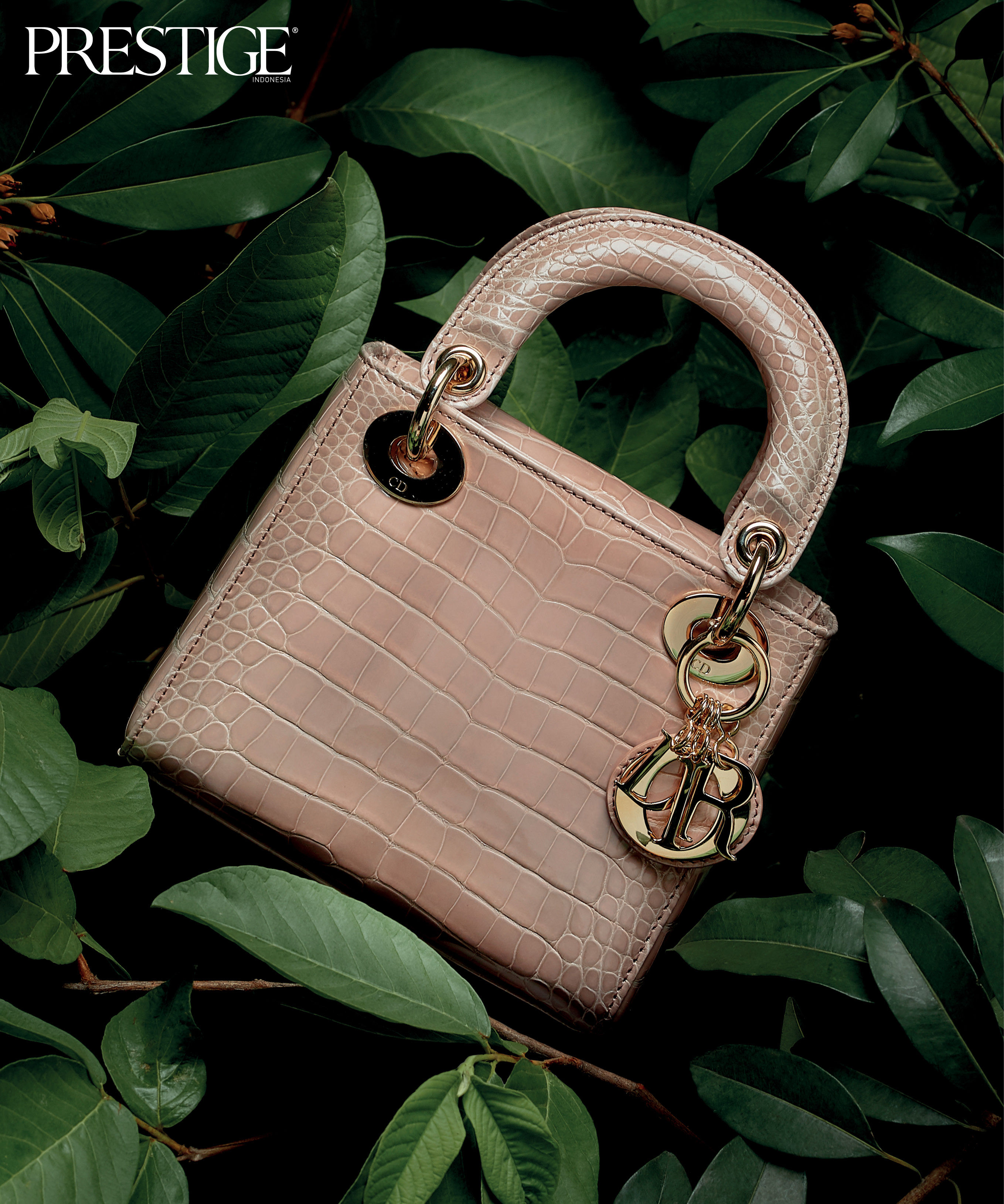 The Best Lady Dior Bags in Exotic Skin