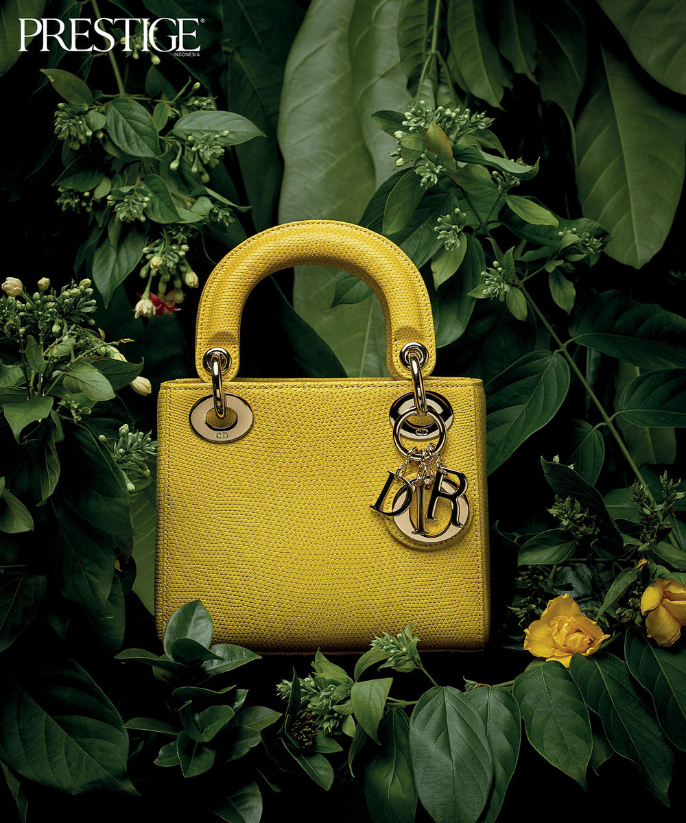 The Best Lady Dior Bags in Exotic Skin Prestige Online Indonesia
