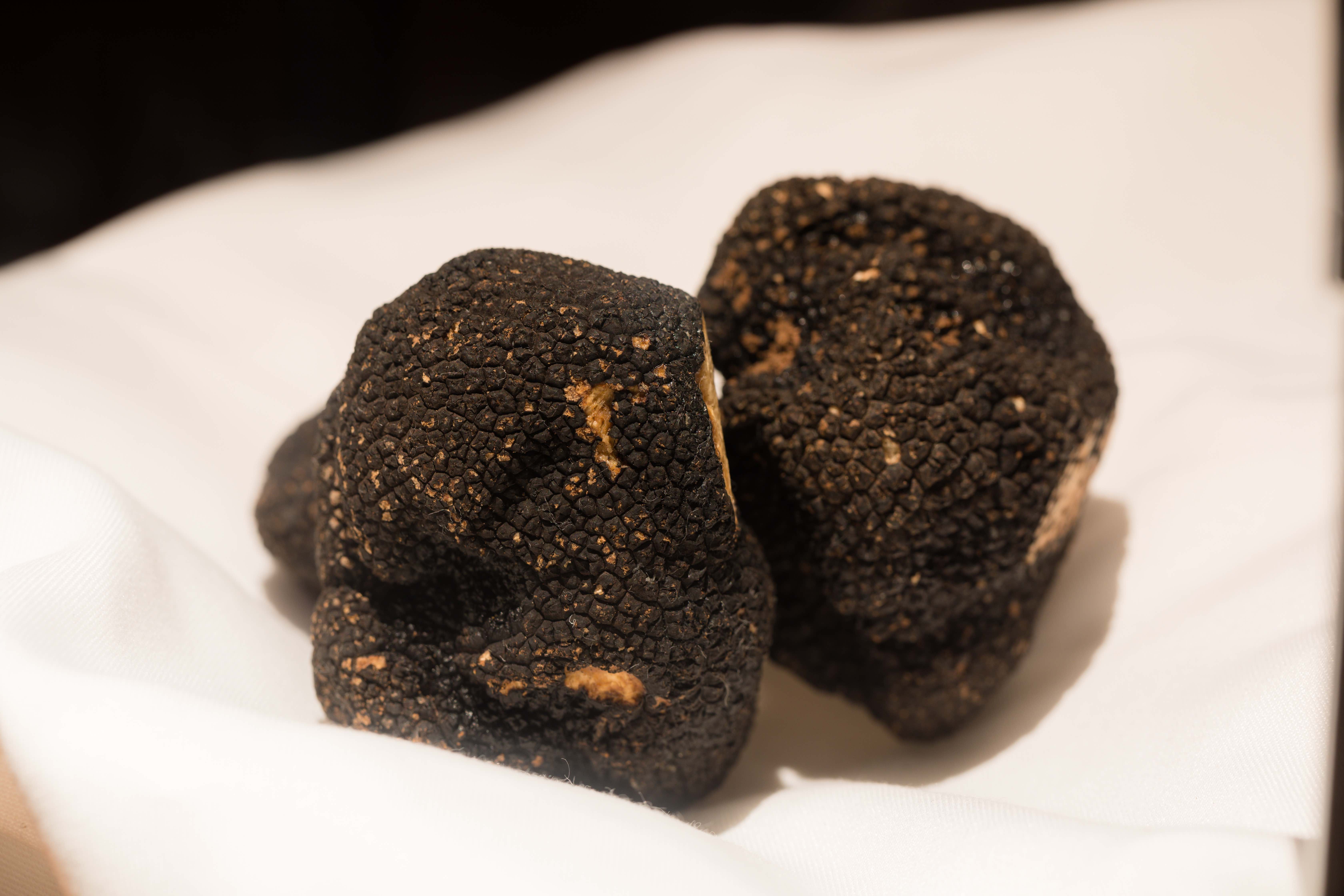 Castellana Brings Northern Italian Flavours and Piedmont’s Best Truffles to Hong Kong