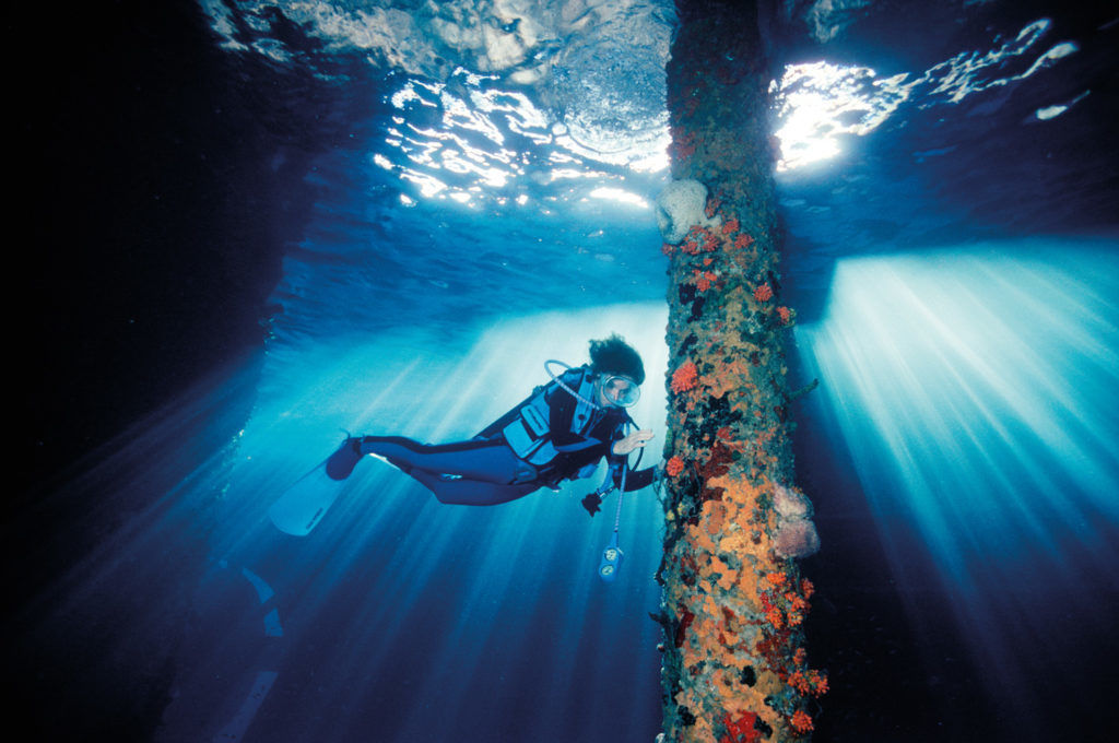 Rolex Has Launched Perpetual Planet Campaign