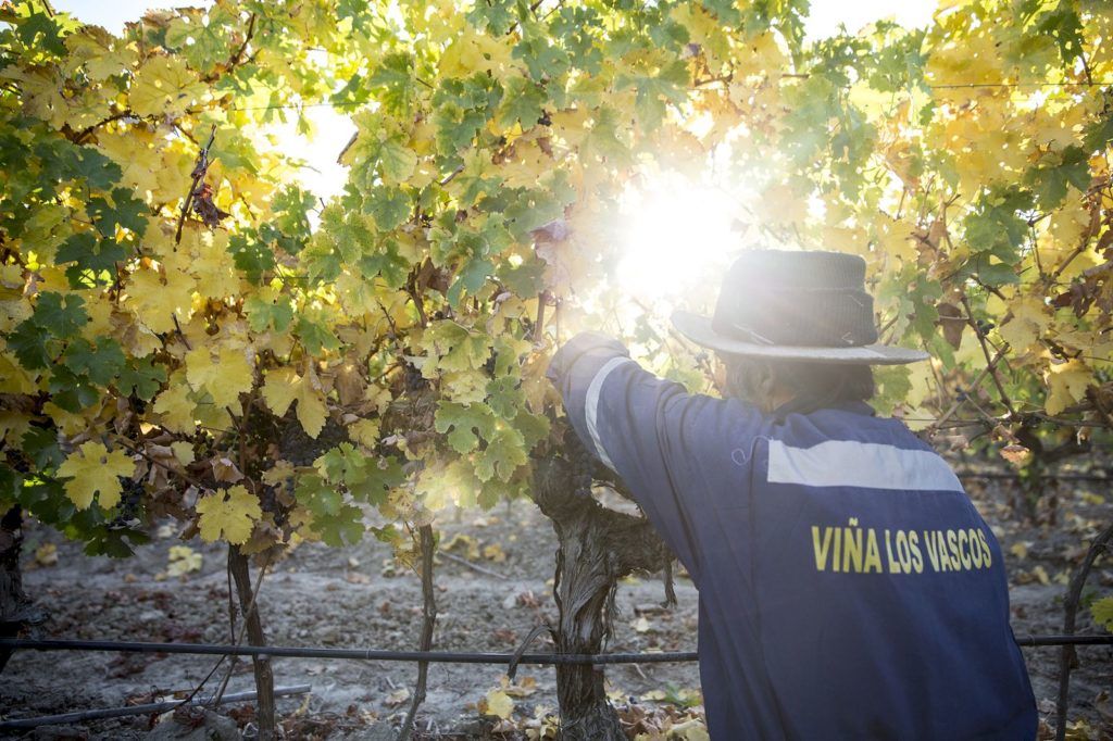 Why Domaines Barons de Rothschild (Lafite) wines are winning the world over