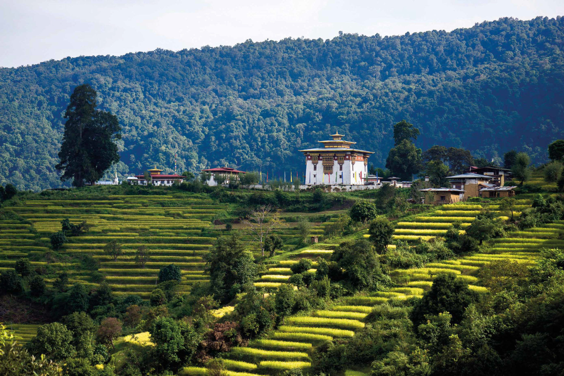 Six Senses in the Majestic Bhutan: Connecting Ancient Kingdom and a ...