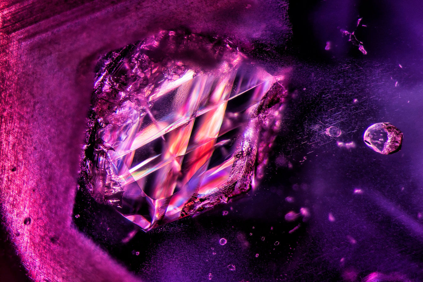 Discover the Intricacies of Rubies and Sapphires at the L'École School