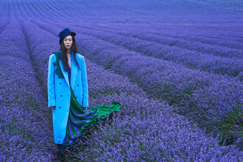 Photo Shoot: Purple Haze