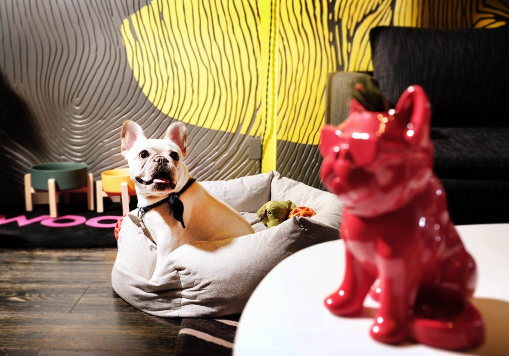 The Top 5 Staycations in Hong Kong’s Most Luxurious Hotels