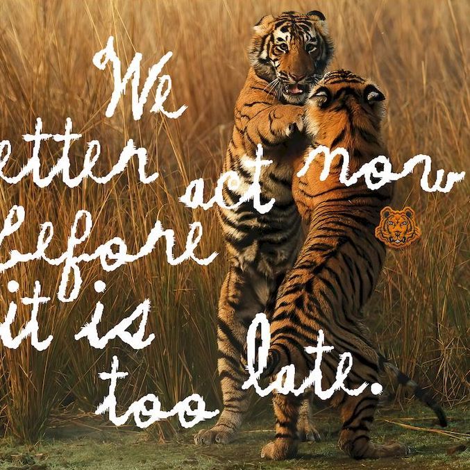 Kenzo Teams Up with WWF on a New Collection in Support of Tiger Conservation