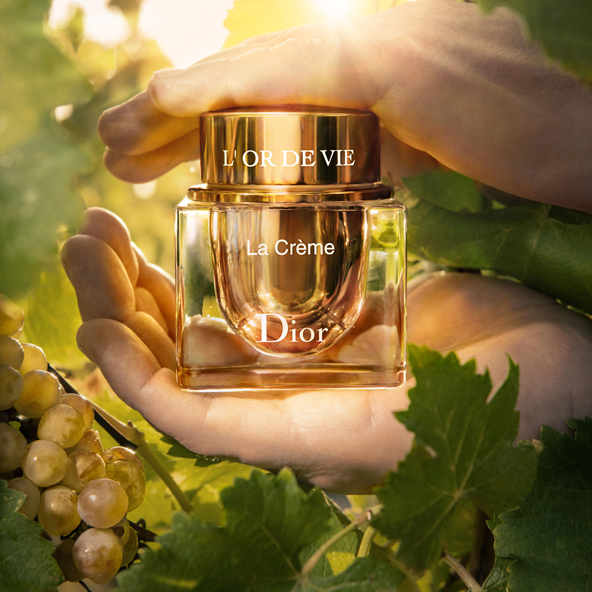 Dior Further Elevates Its Revolutionary Anti-aging Formula L'Or de Vie