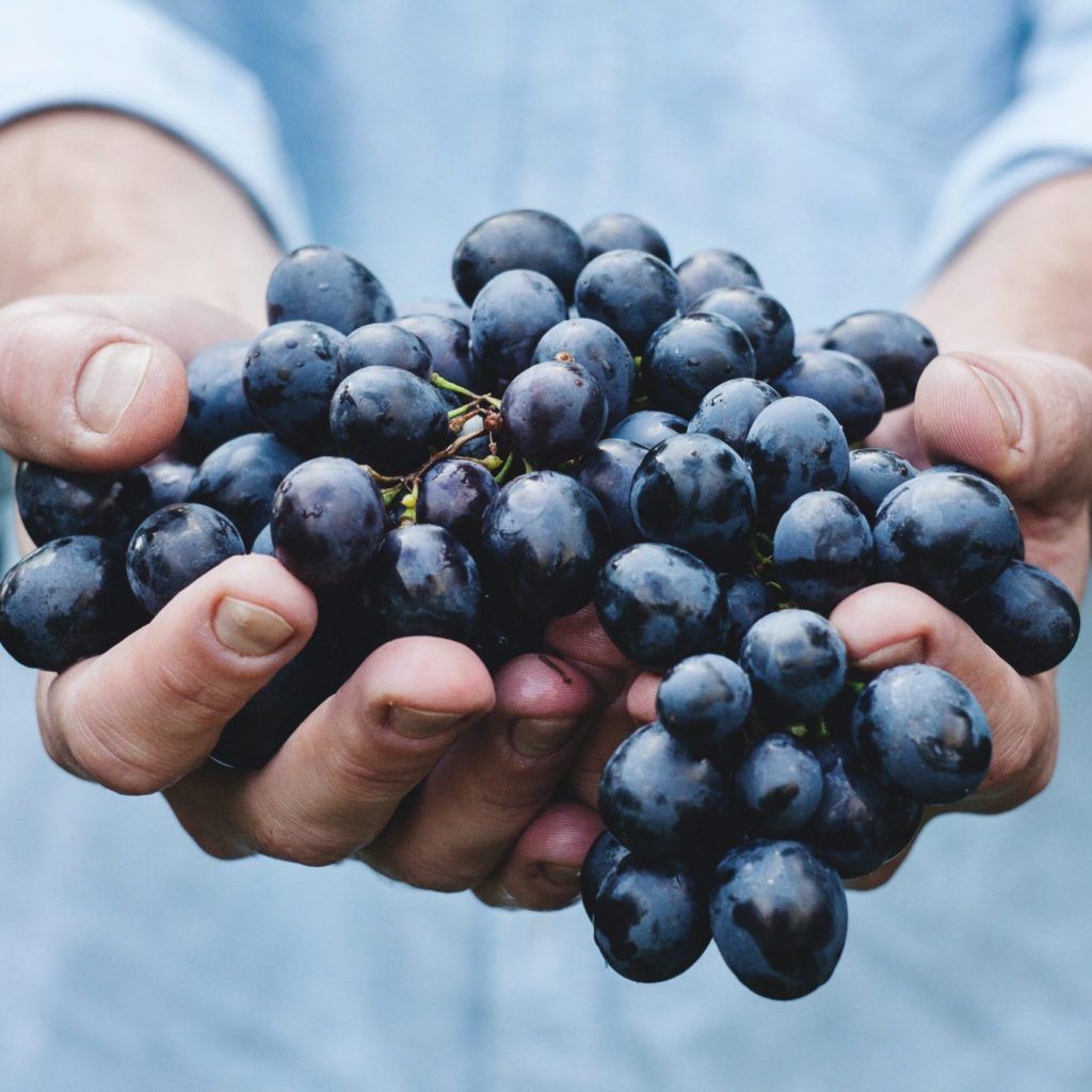 Where to Find the Most Stunning Vineyards Around the World