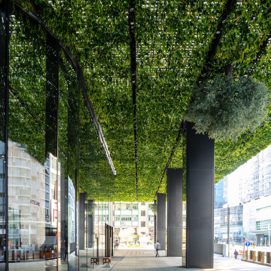 Greening the Concrete Jungle: Hong Kong’s Eco Transformation