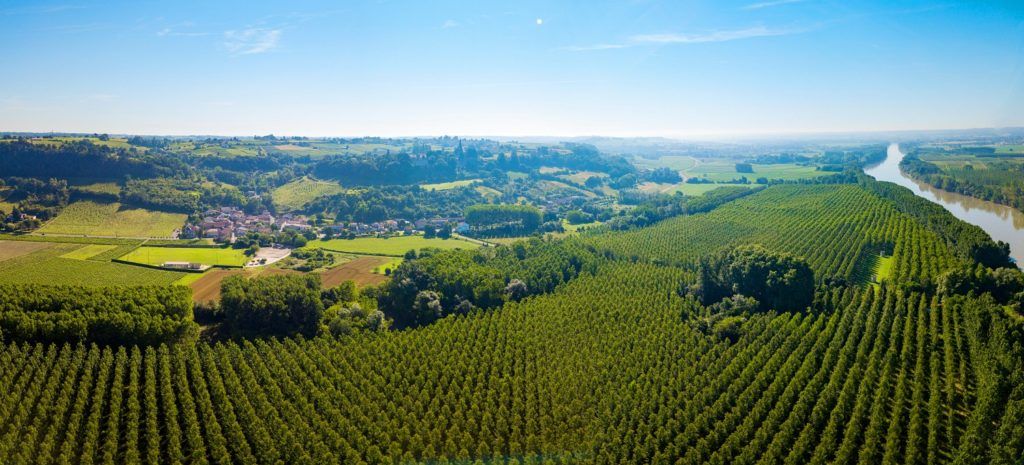 Is 2018 Bordeaux the Superlative Vintage?