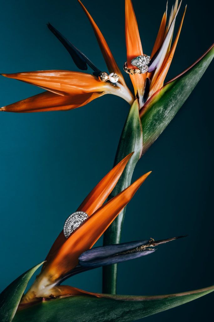 Earth's Treasures Prestige Hong Kong jewellery shoot