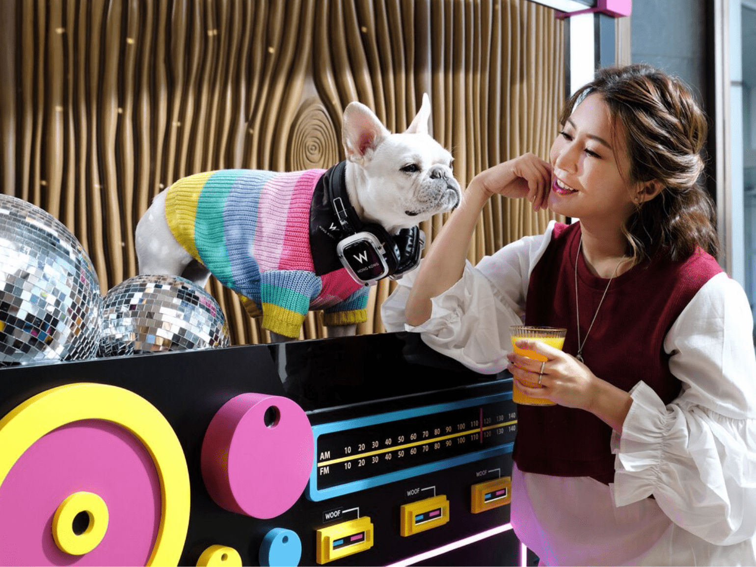 Petfriendly staycations The best luxury stays to book with pup in tow