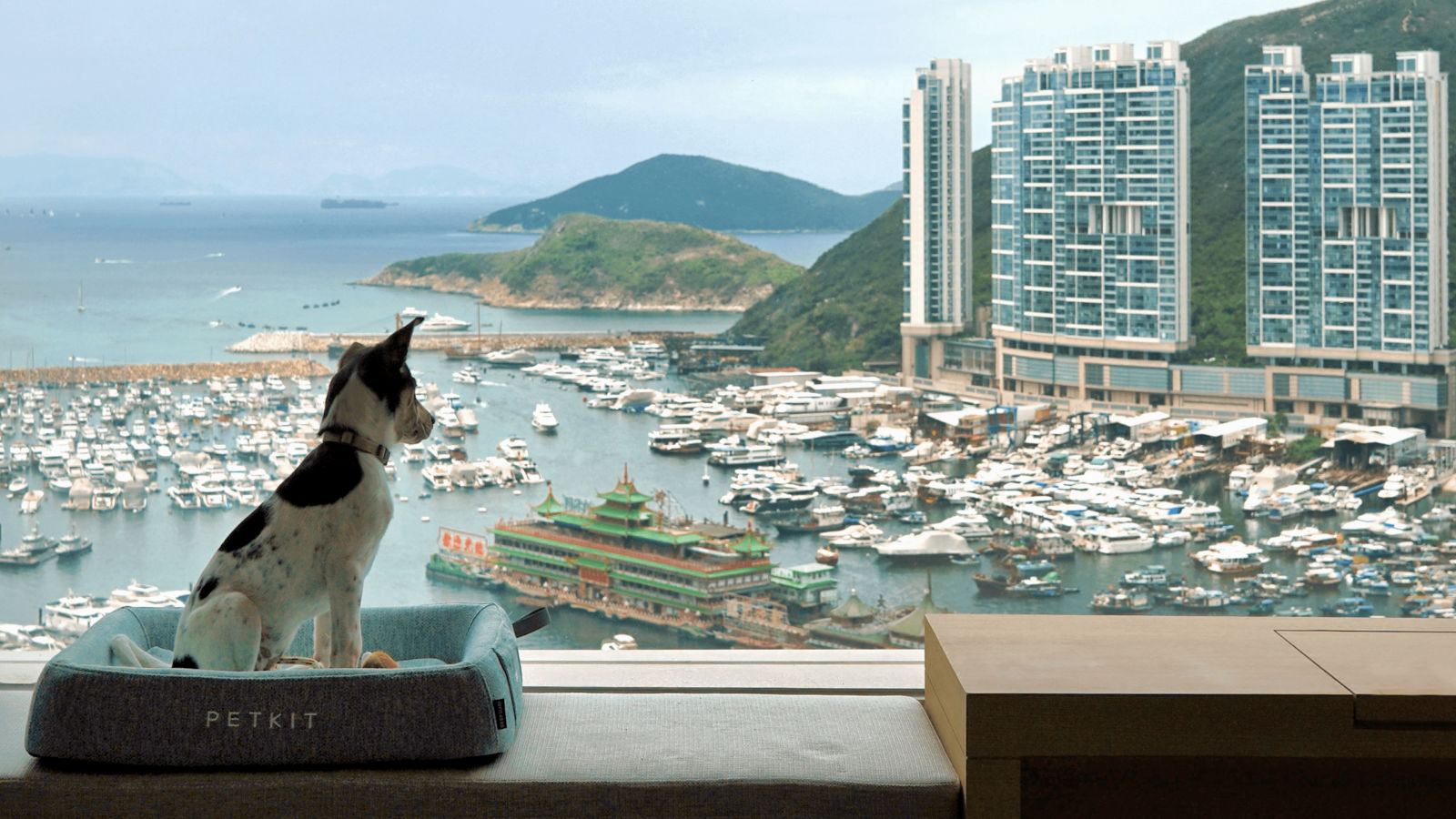 pet travel hk