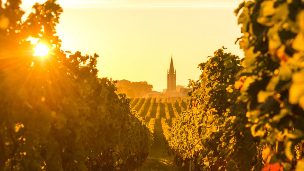 Best of Wine: The Top 10 Bordeaux Bottles of 2020