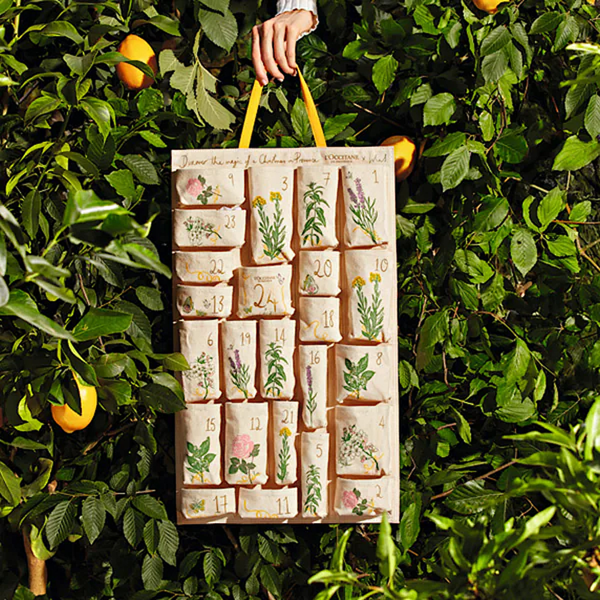 Best Bath and Body Advent Calendars Hong Kong