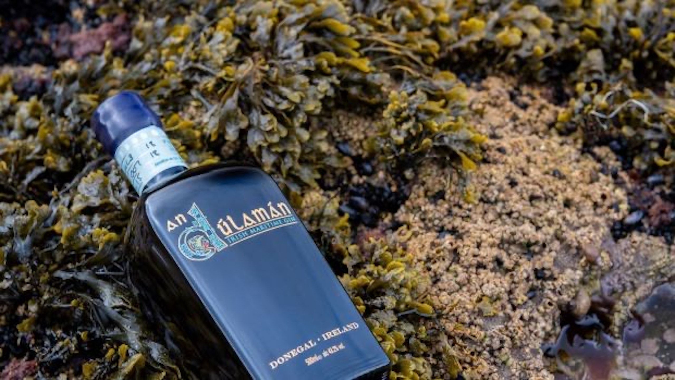 An Dúlamán Irish Maritime Gin