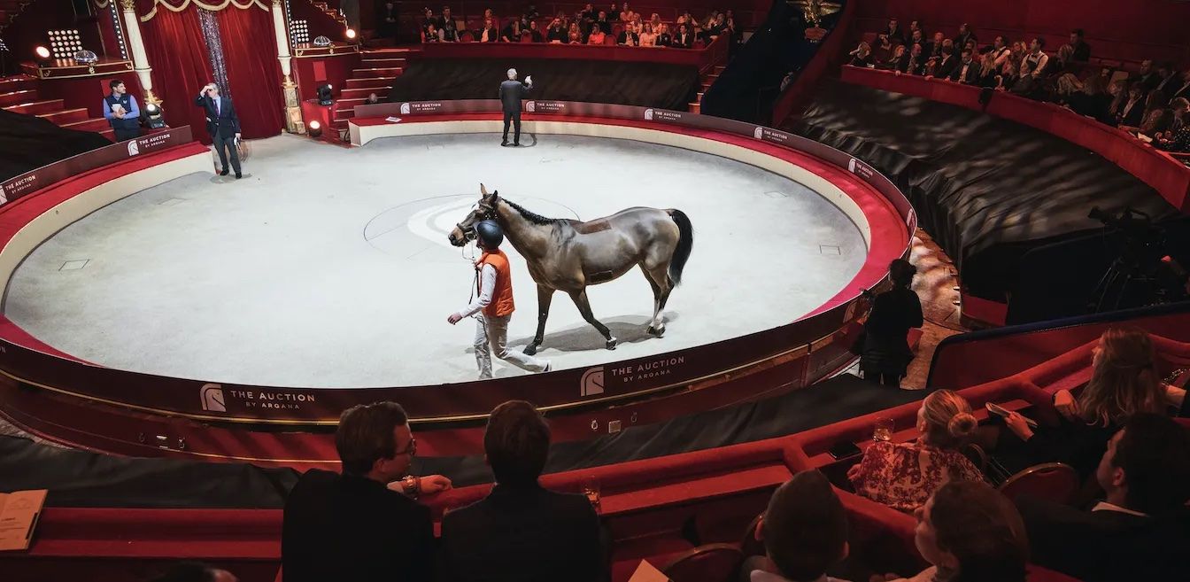 Horse Trading: Ins and Outs of Racehorse Investing
