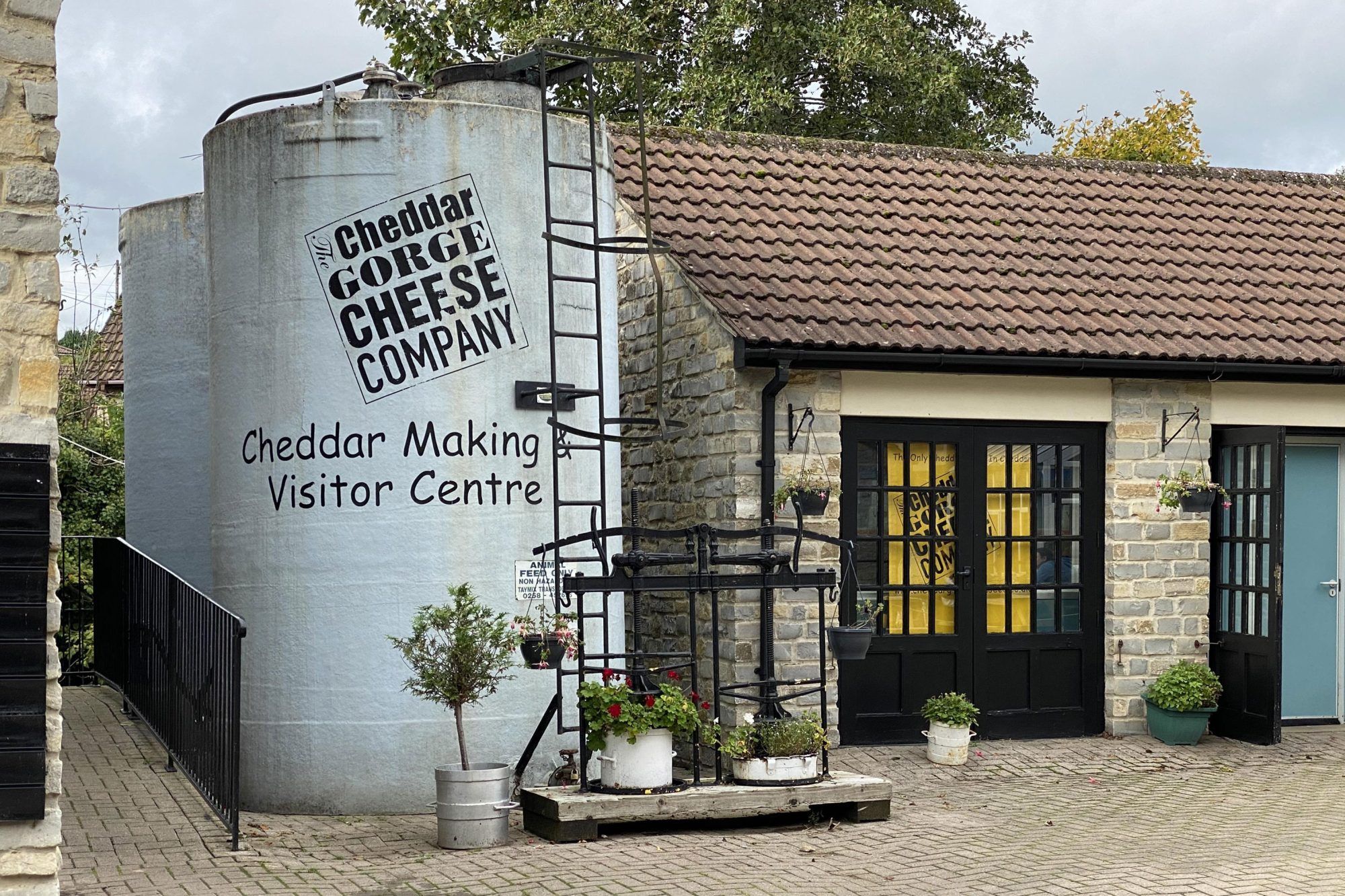 The Home To The World's Original Cheddar Cheese Caves NewsFinale