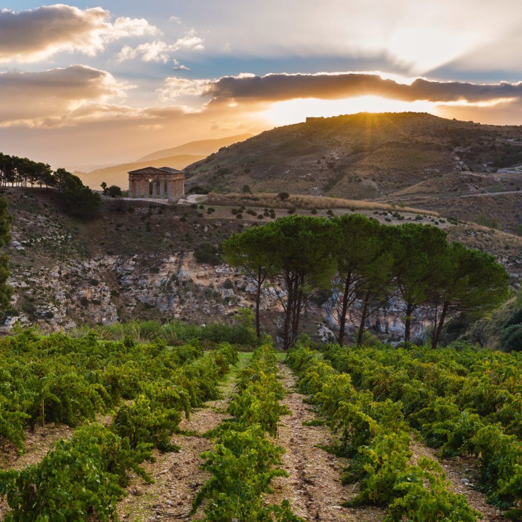 James Suckling on Sophisticated Sicilian Wines