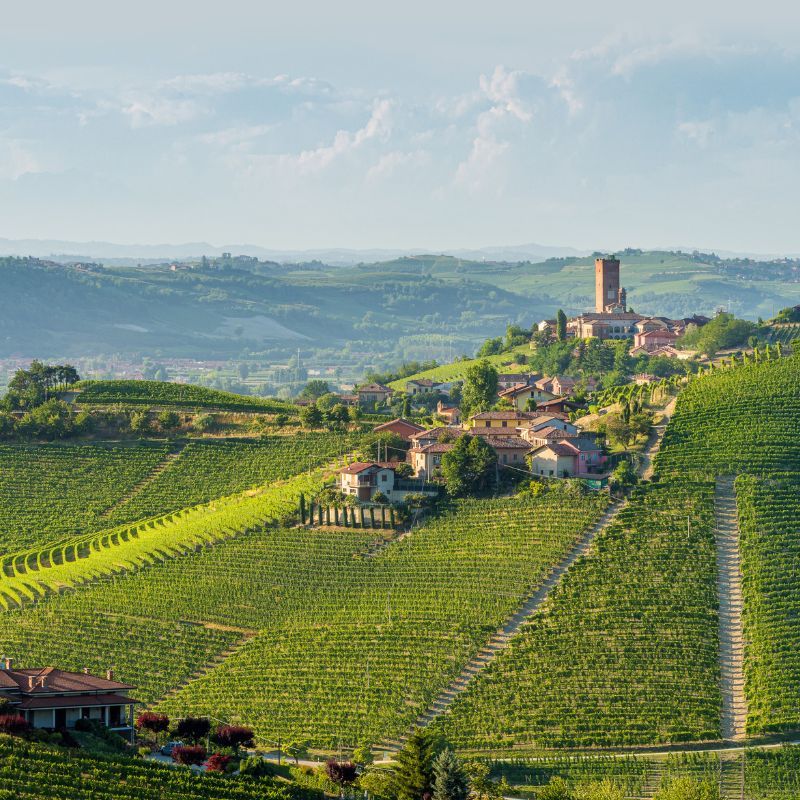 Good News for Nebbiolo Lovers