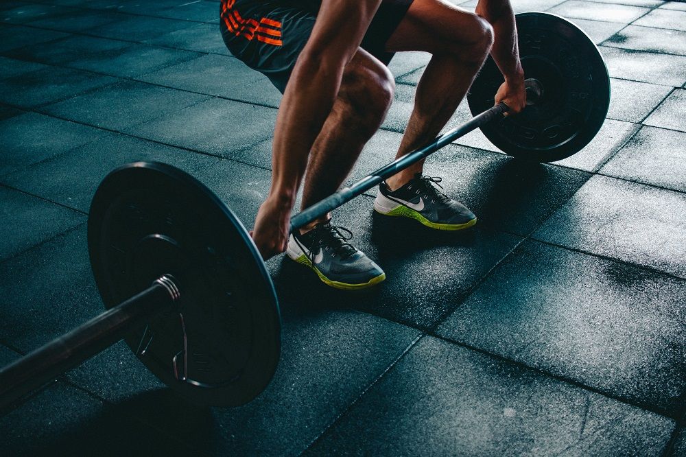 mind muscle connection