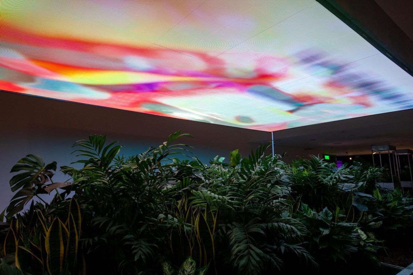 5 Art Happenings This Month Prestige Online Hongkong