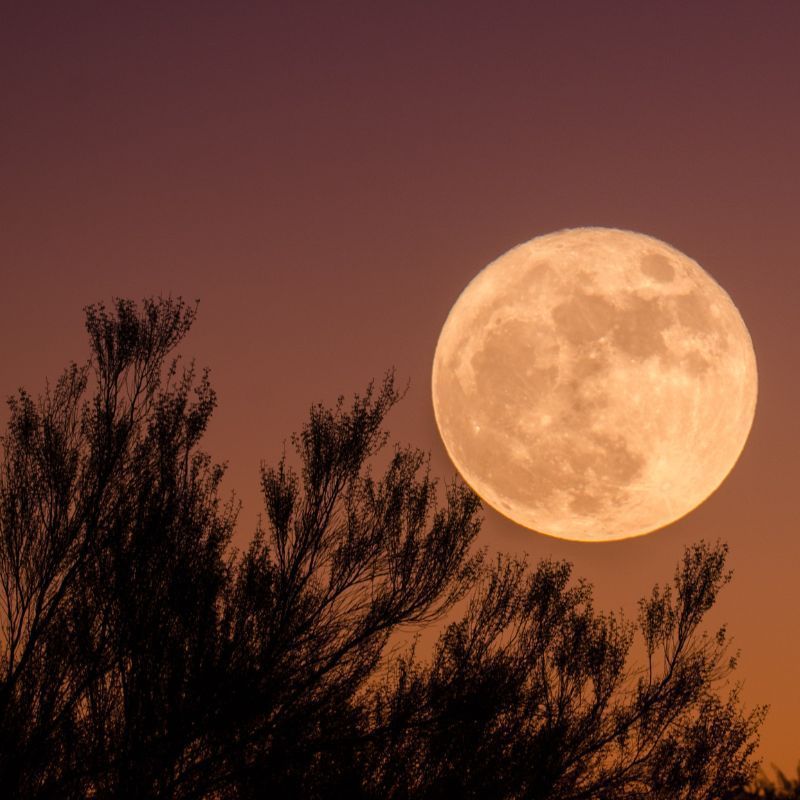 March Full Moon 2023: What to Know About the Worm Moon