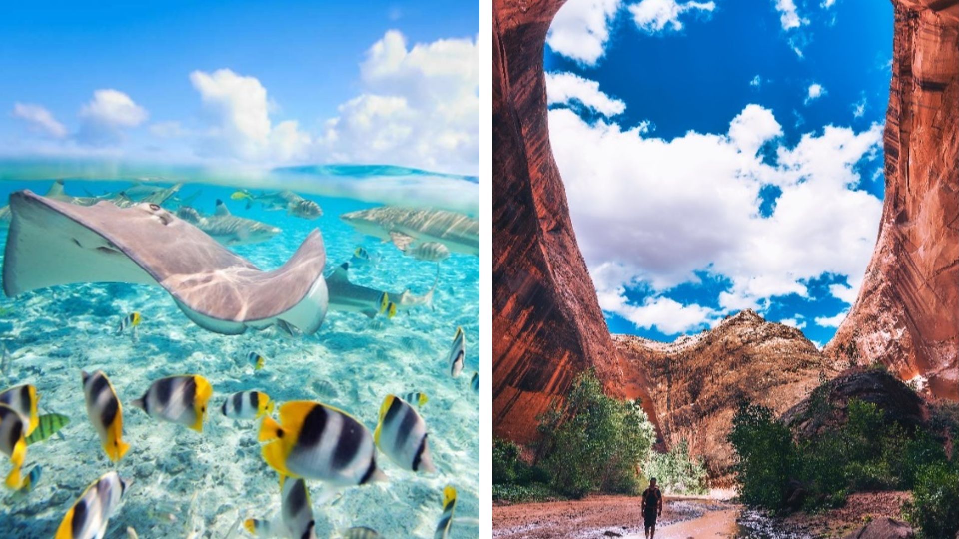 Life At Sea cruise- destination