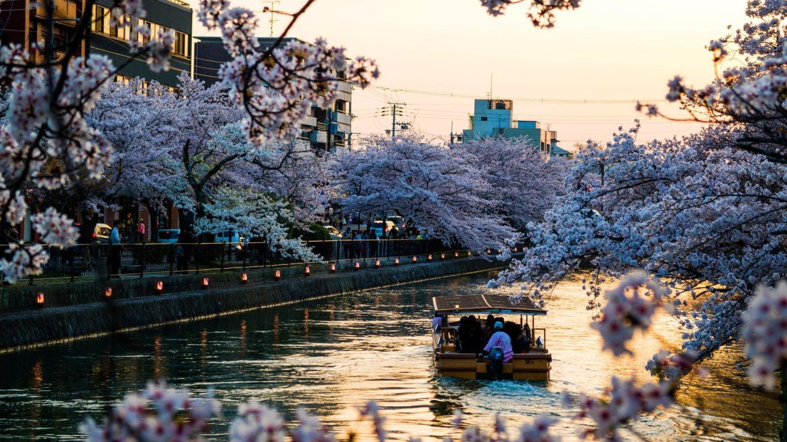 Kyoto Travel Guide: Your One-Stop Guide for Exploring Japan’s Scenic City