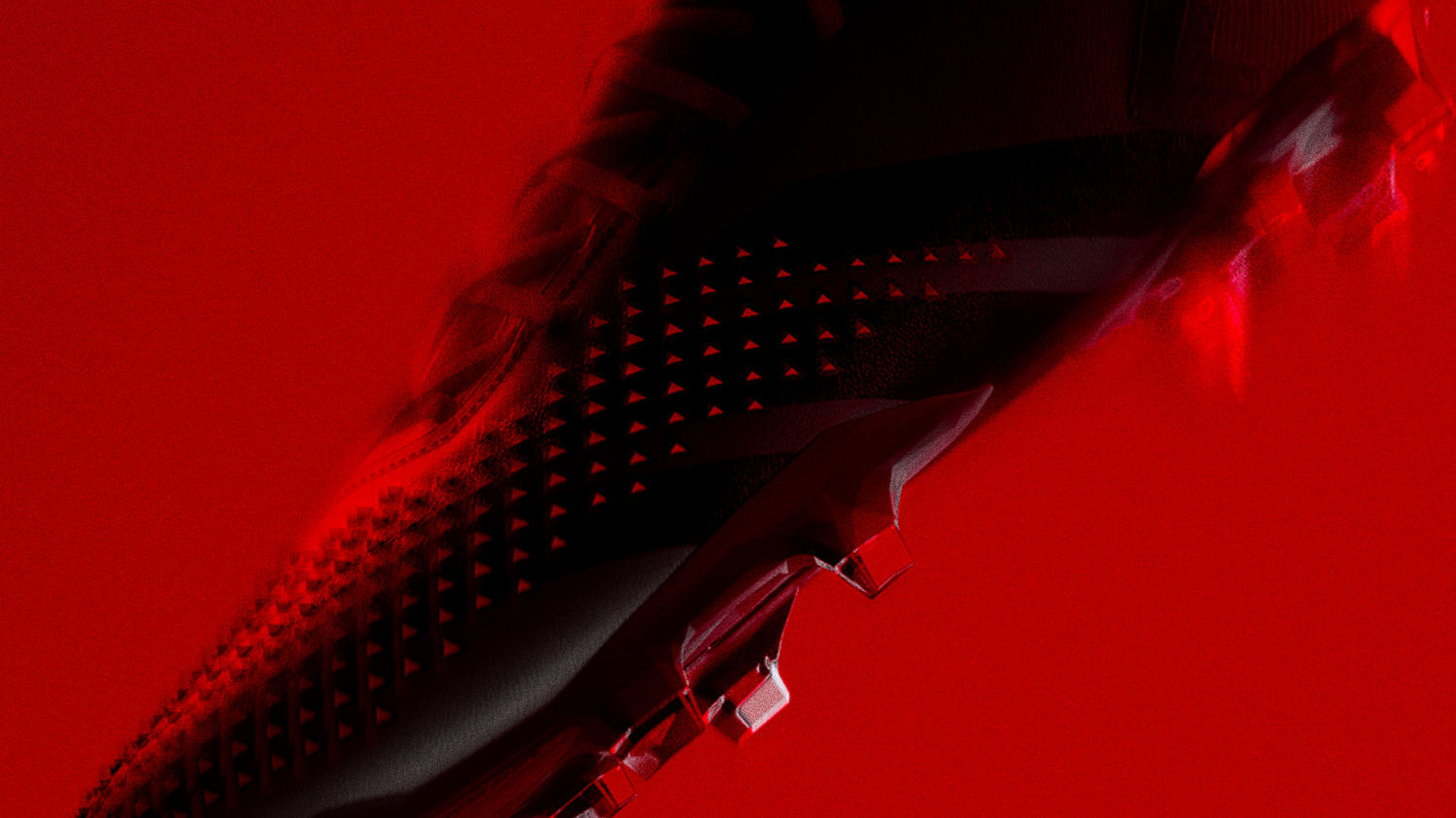 Predator Accuracy
