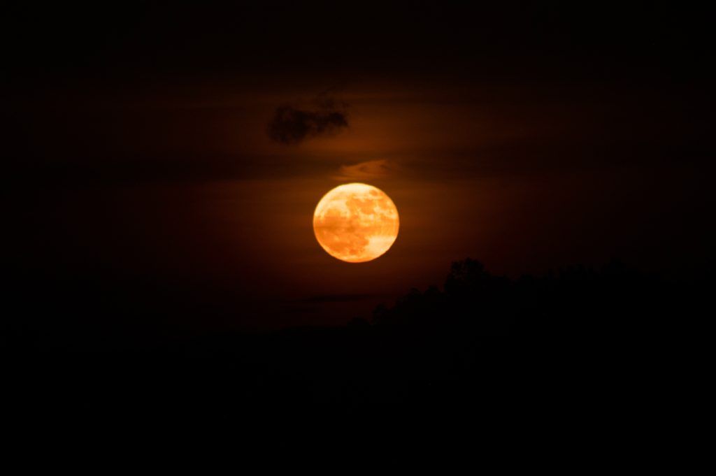 Moon Strawberry
