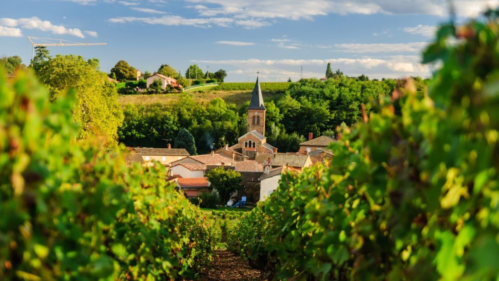 Beaujolais: World’s Best-Value Reds?