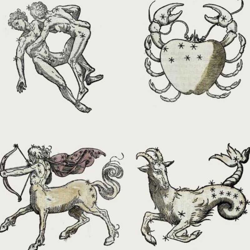Taurus, Leo, Scorpio and Aquarius: What Does It Mean to Be a Fixed Zodiac Sign