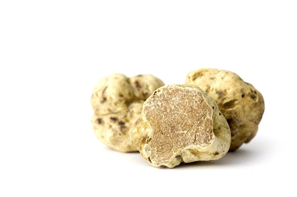 white truffle castellana