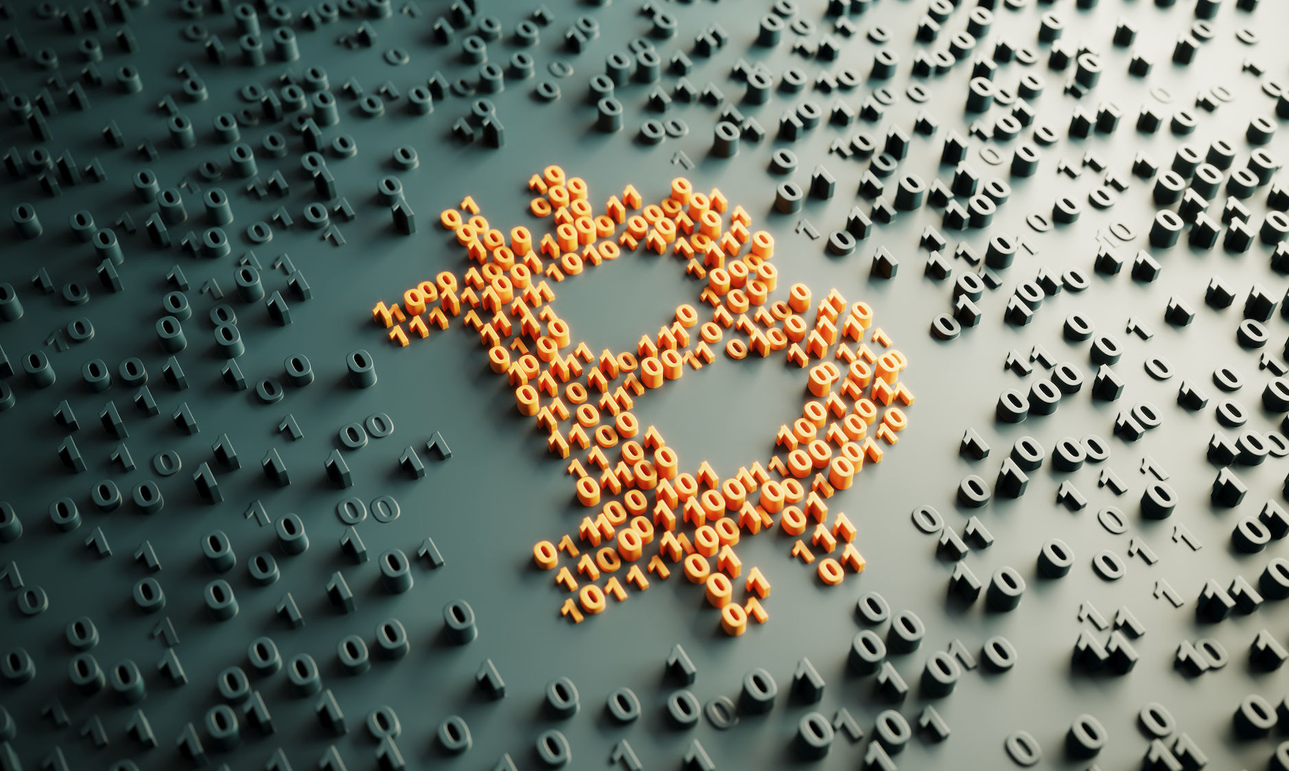 A Rookie Guide to Digital Assets with Angelina Kwan