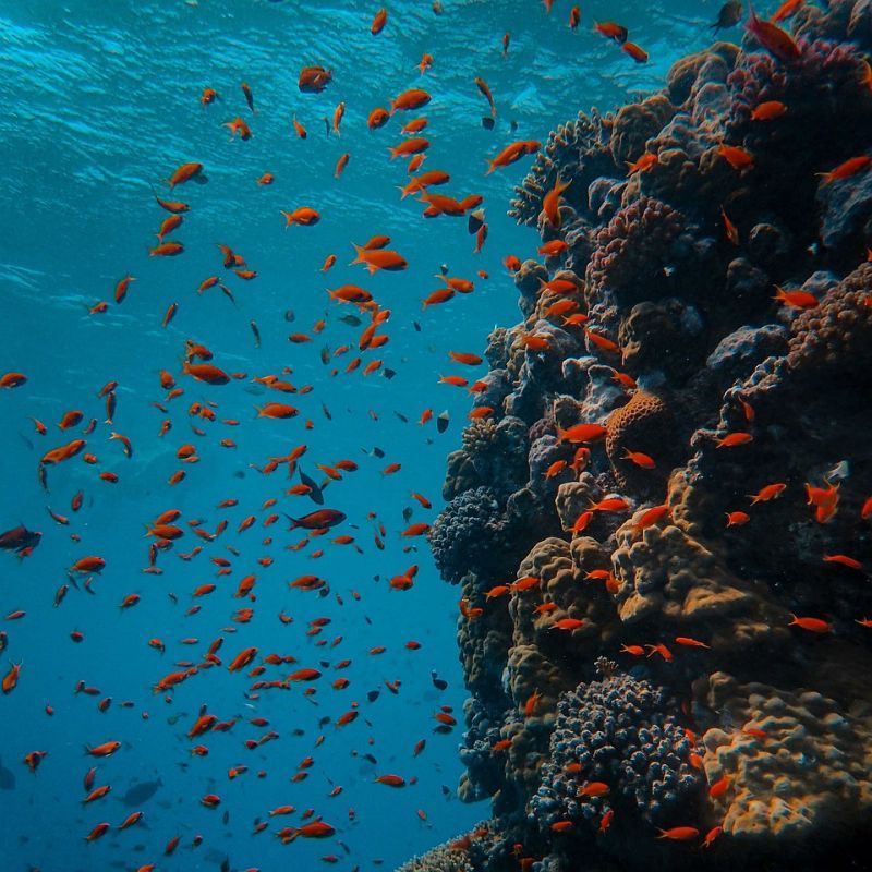 Hong Kong to Get Its First-Ever Deep-Sea Water Adventure Experience
