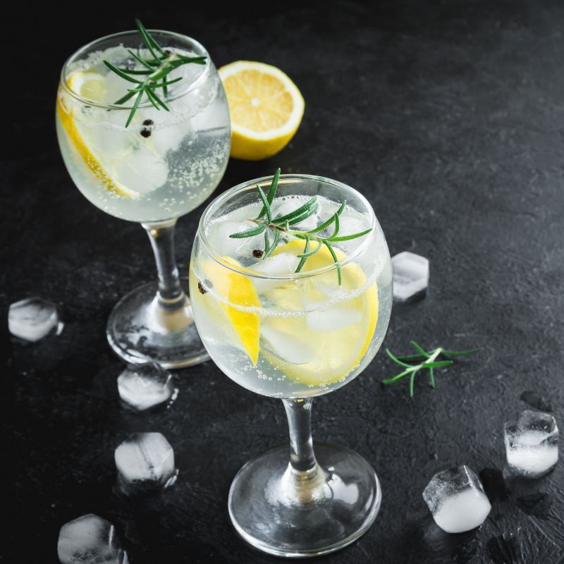 Gin and tonic recipes