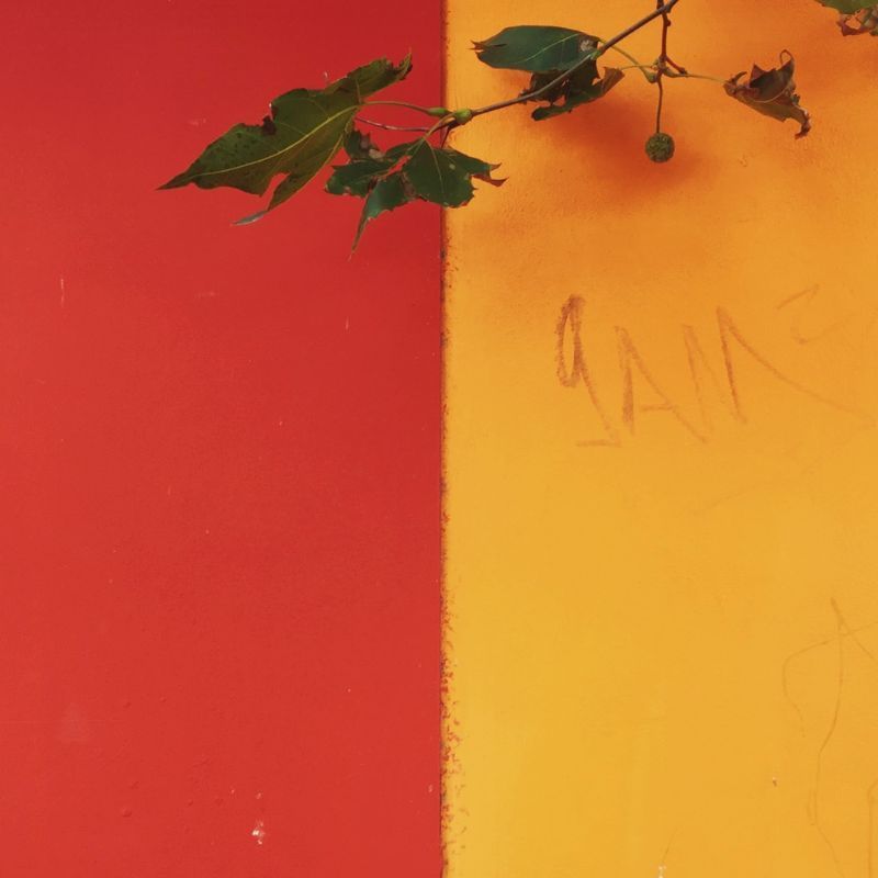 Paint It Green, Yellow and Red: Feng Shui Colours for the Year of the Dragon